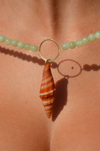 Collier Perles et véritable coquillages